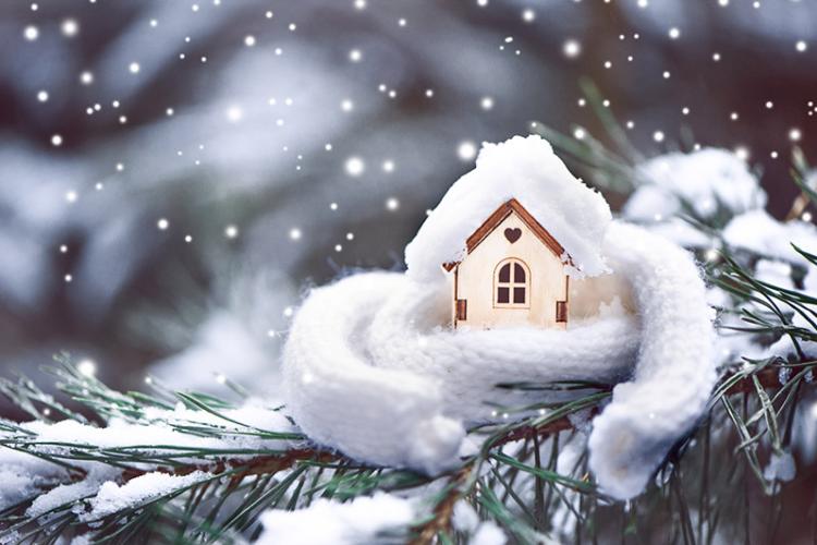 House wrapped in white scarf sitting on Christmas tree branch with snow in the background